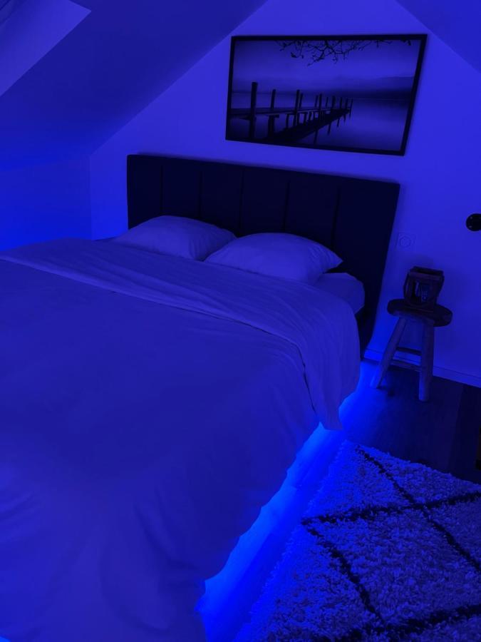 Apartamento Loft Ravissant Avec Parking Gratuit Colmar Exterior foto