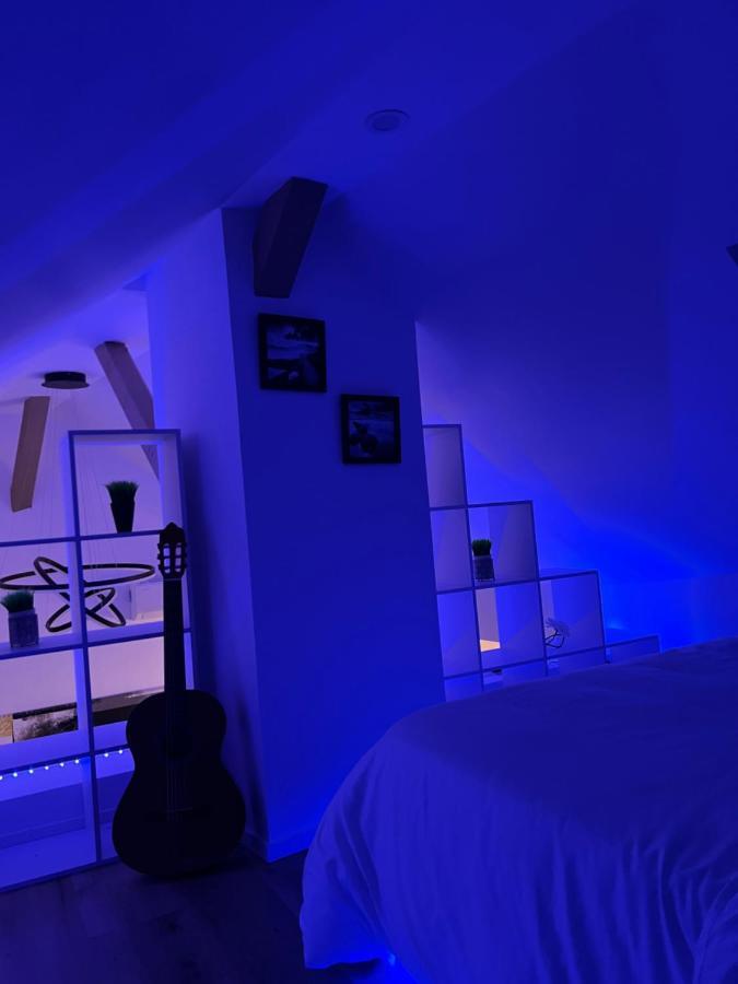 Apartamento Loft Ravissant Avec Parking Gratuit Colmar Exterior foto