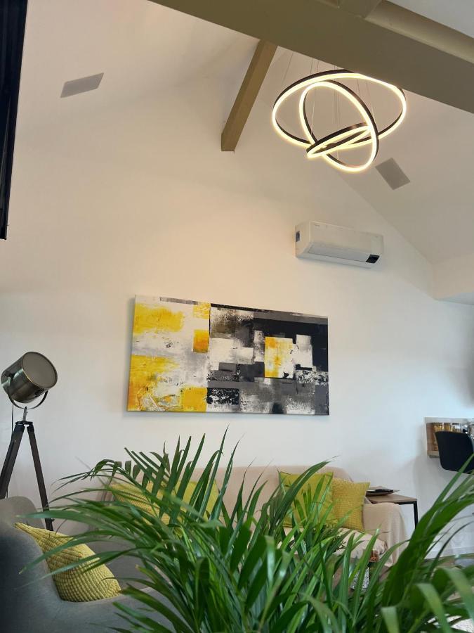 Apartamento Loft Ravissant Avec Parking Gratuit Colmar Exterior foto