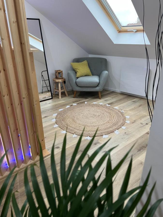 Apartamento Loft Ravissant Avec Parking Gratuit Colmar Exterior foto