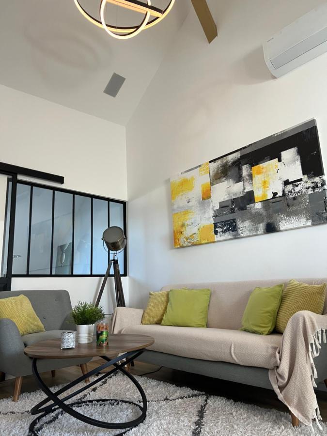 Apartamento Loft Ravissant Avec Parking Gratuit Colmar Exterior foto