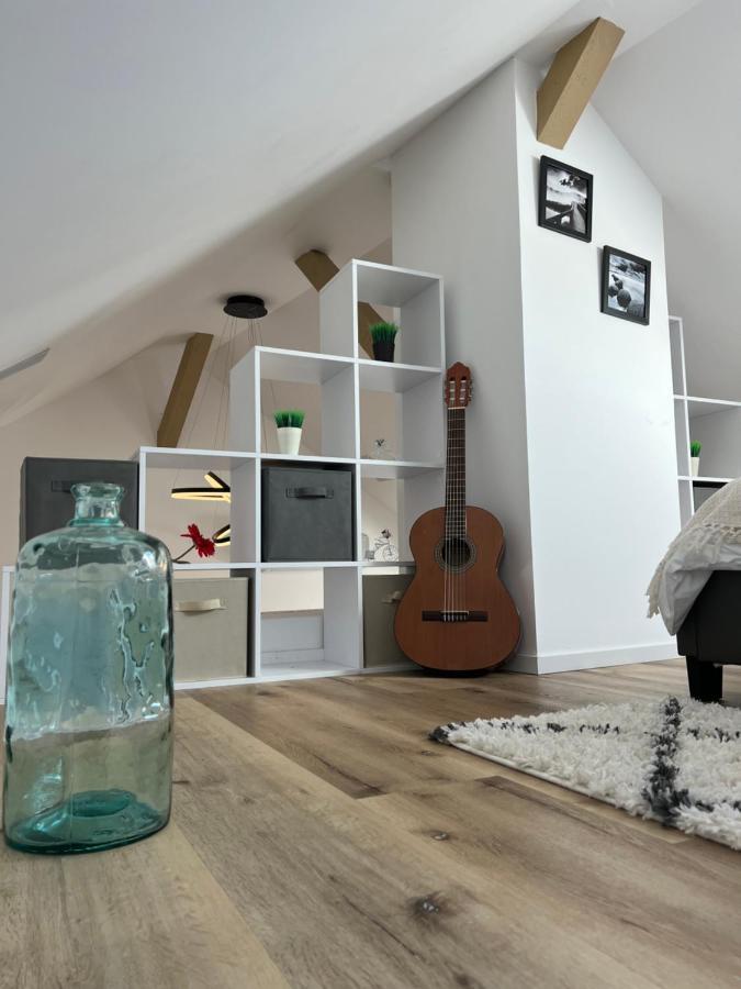Apartamento Loft Ravissant Avec Parking Gratuit Colmar Exterior foto